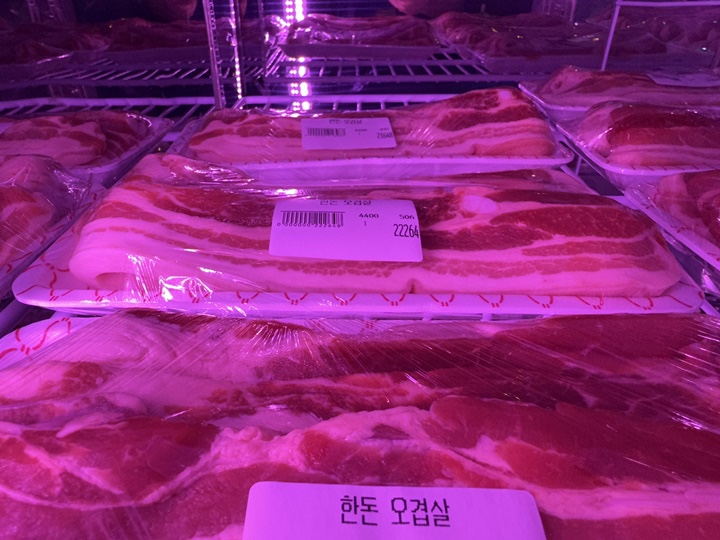 루나 캠프닉 이미지