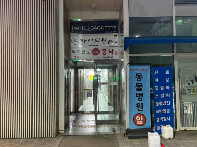 낙지무교동홍낙 이미지