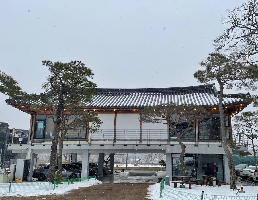 초평가배 이미지