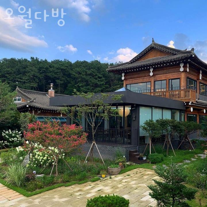 오월다방 이미지