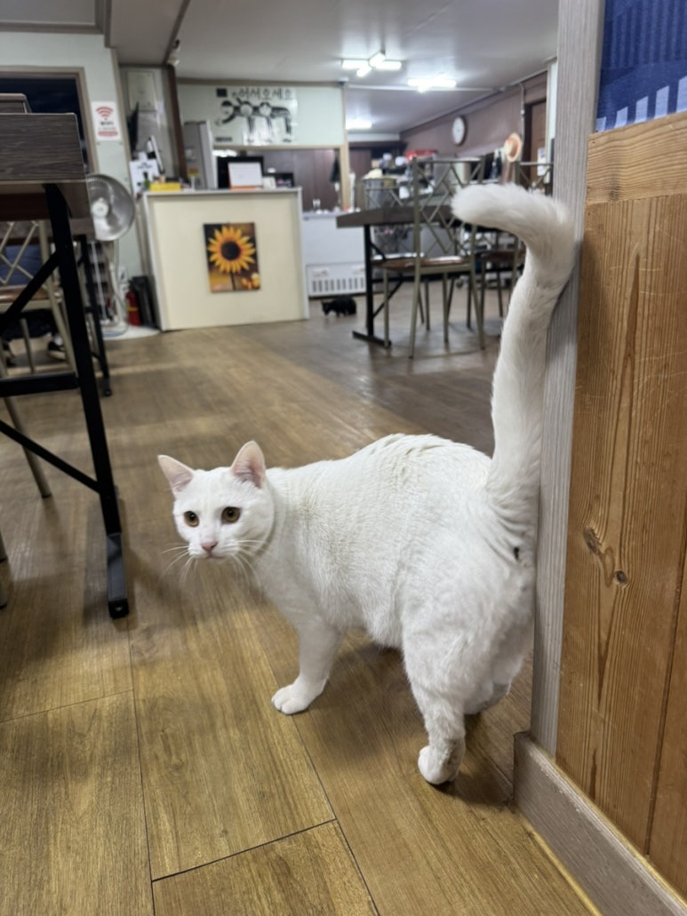 모항자연산횟집 이미지