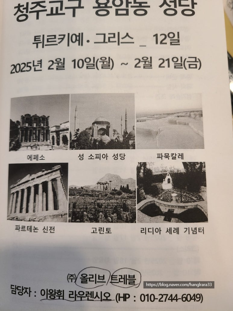 (주)올리브트래블 이미지