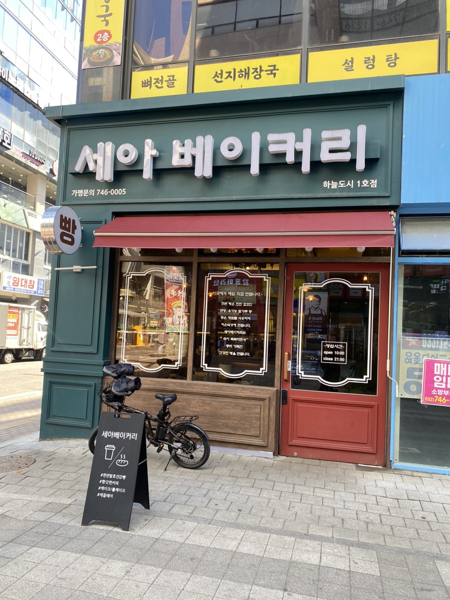 세이저온 이미지