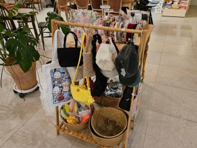 로무드 이미지
