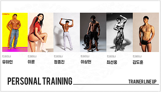 웰니스핏 이미지