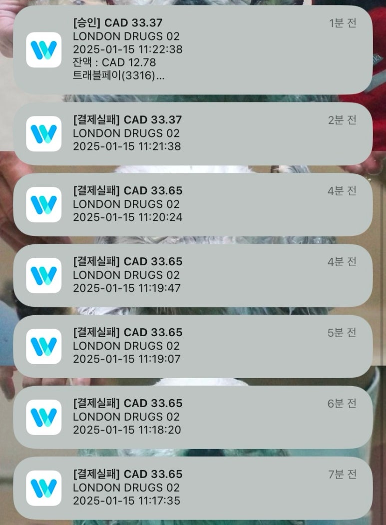 키마켓 이미지