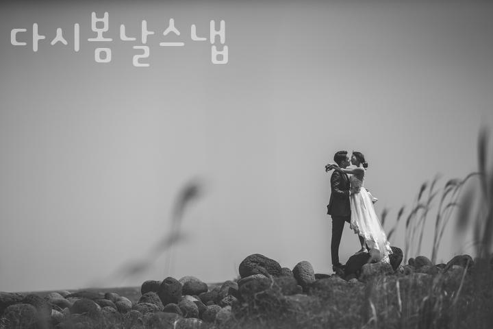 봄날사진관 이미지