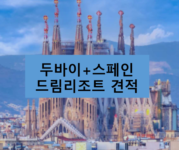 드림항공여행사 이미지