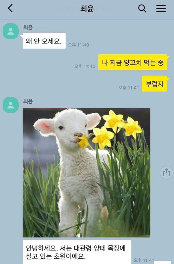 호재래 이미지