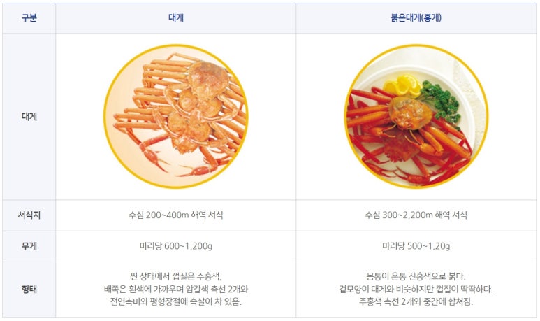 붉은대게 이미지