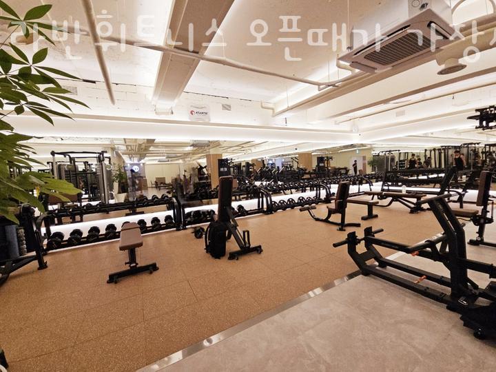 라반휘트니스 이미지