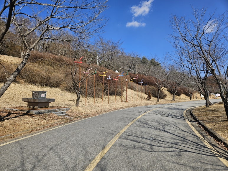금마 서동공원 유아숲체험원 이미지