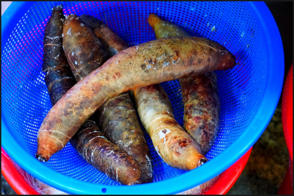 수북순대&머릿고기 이미지