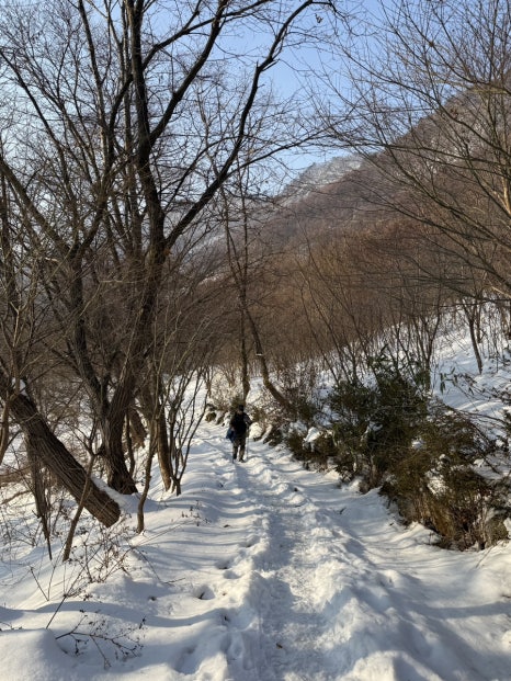 대추나무집 이미지