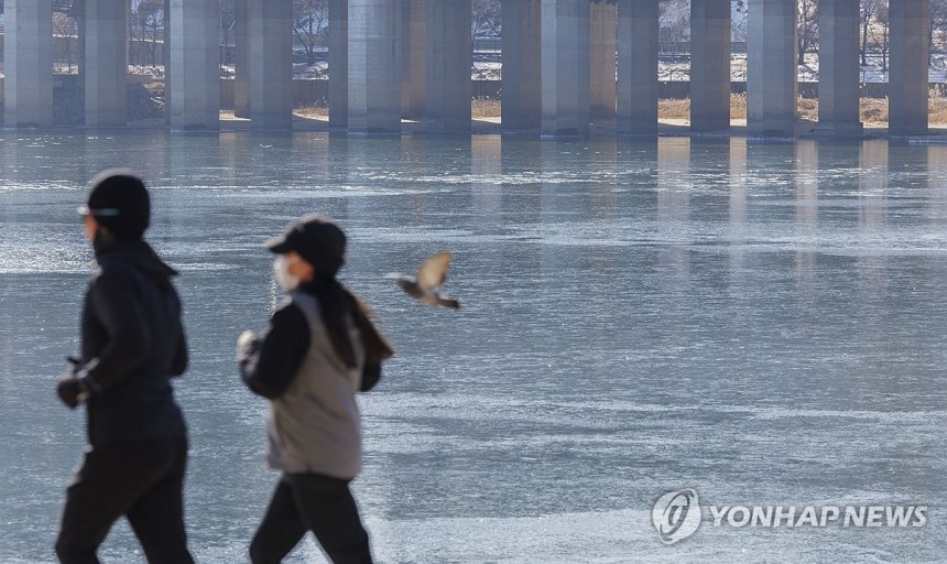 녹지마녹지마 이미지