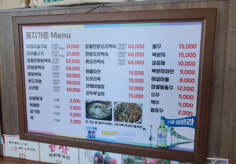 둥지생오리 이미지