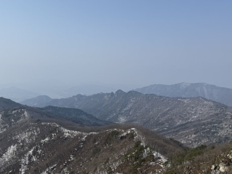 대추나무집 이미지