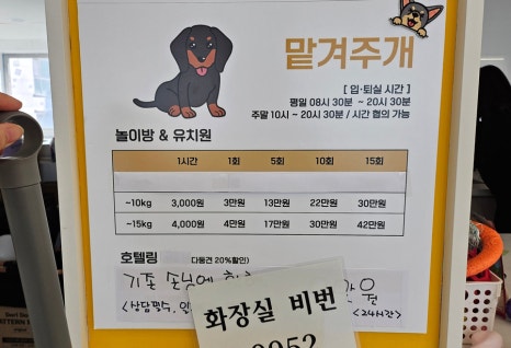 놀면뭐하개 이미지