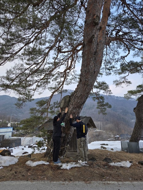 대추나무집 이미지