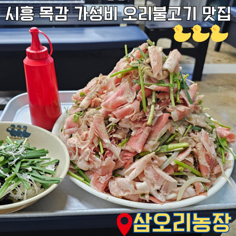 삼오리농장 이미지