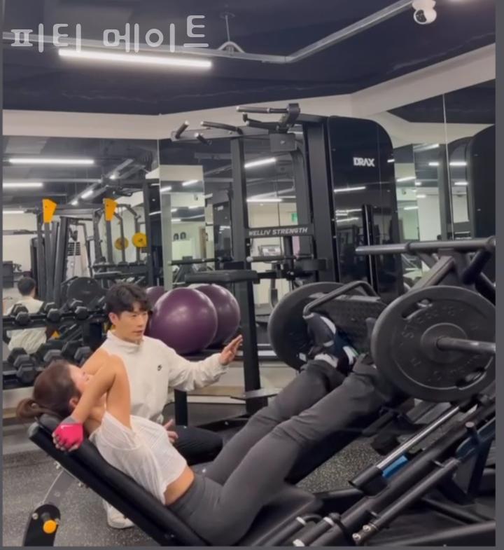 메이트피티 이미지