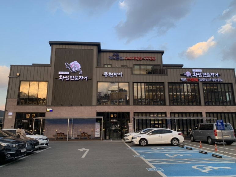 황실장어 이미지