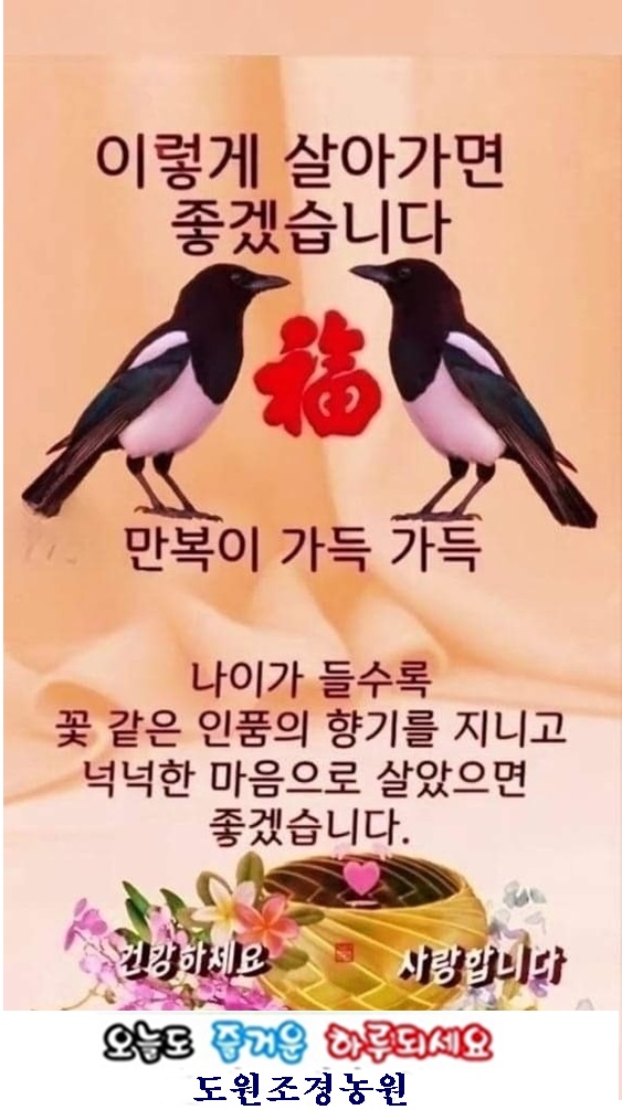 즐거운맛 이미지