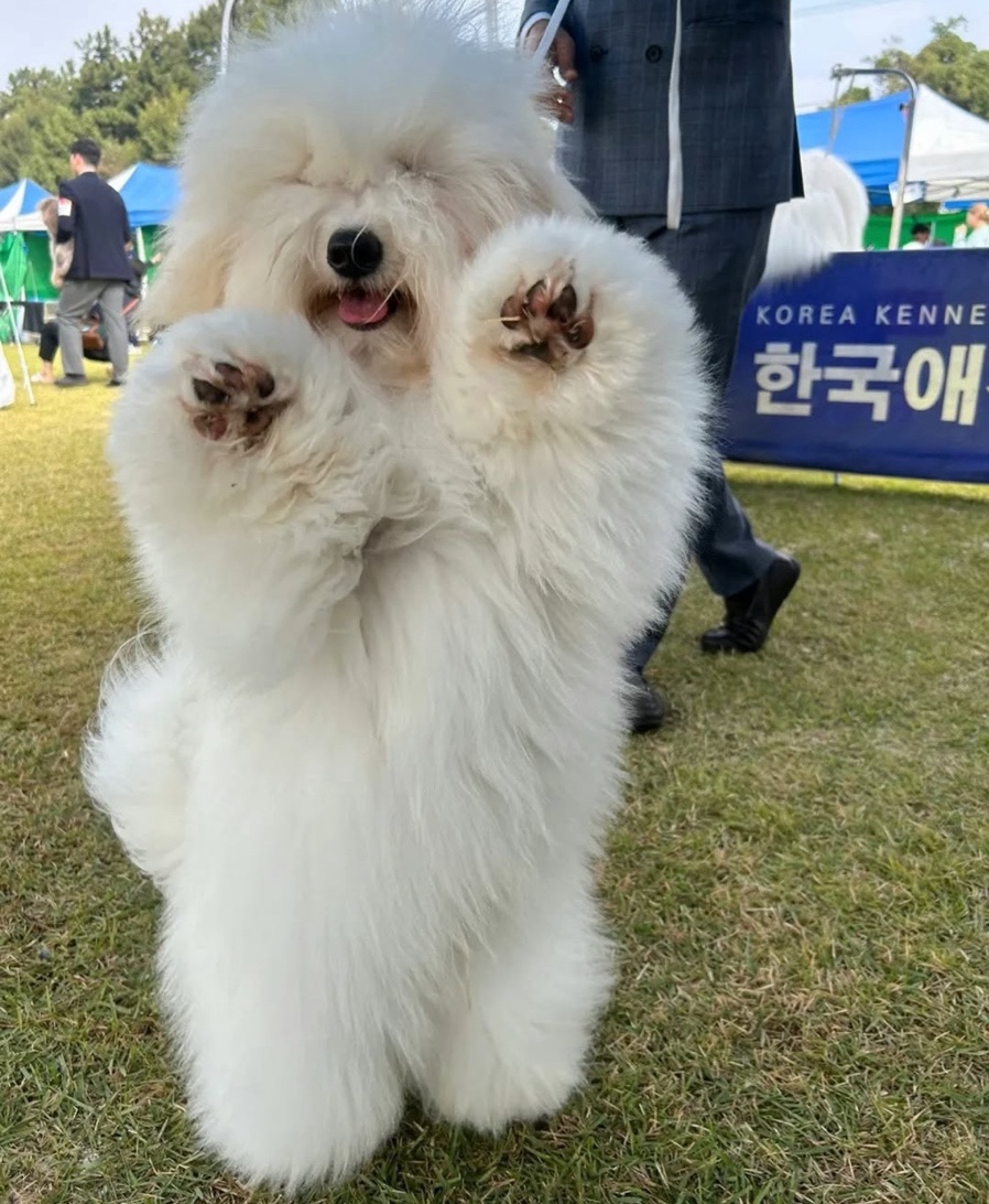 미니몽 이미지