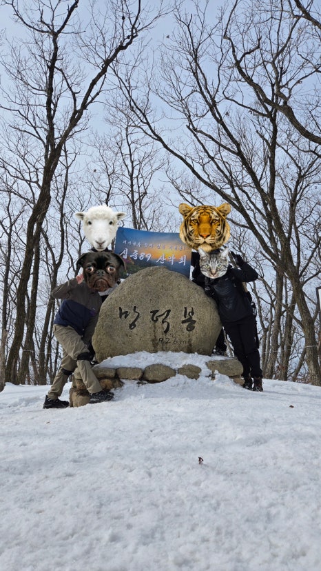 대추나무집 이미지