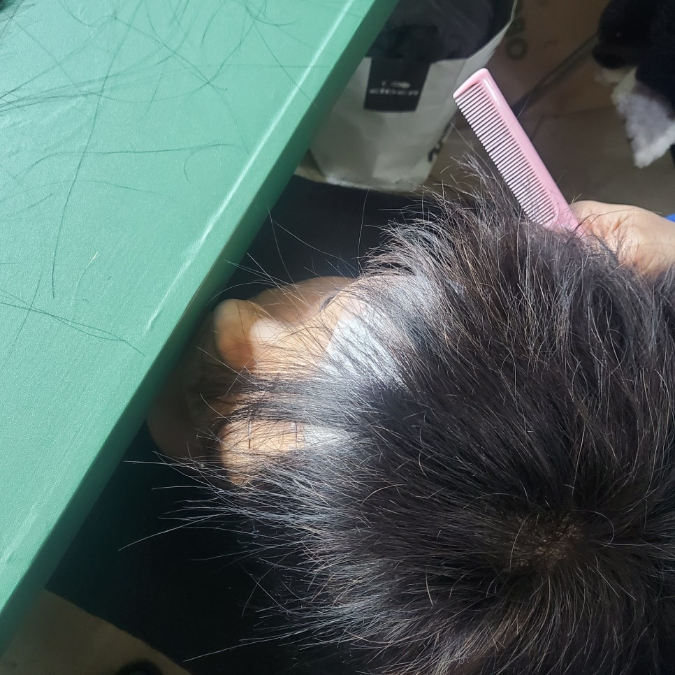 가모미모 이미지