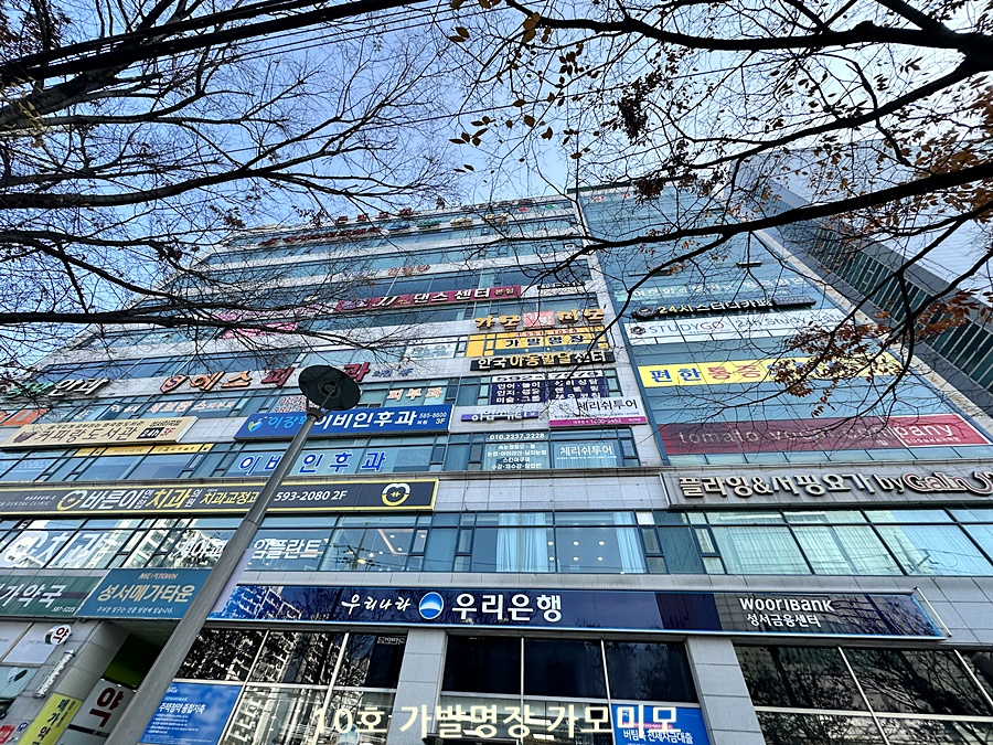가모미모 이미지
