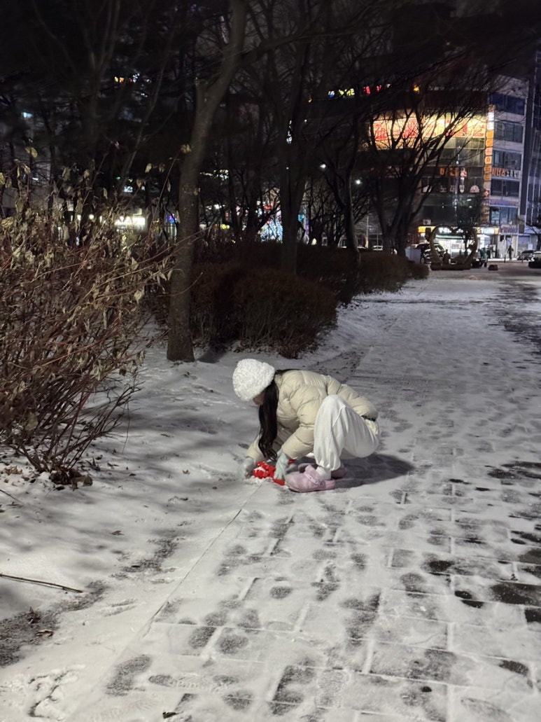 쵸쵸 이미지