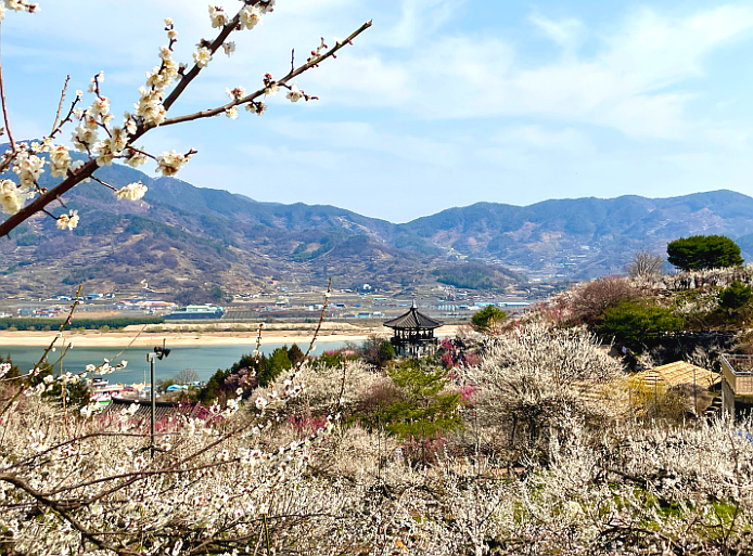 (주)삼성여행사 이미지