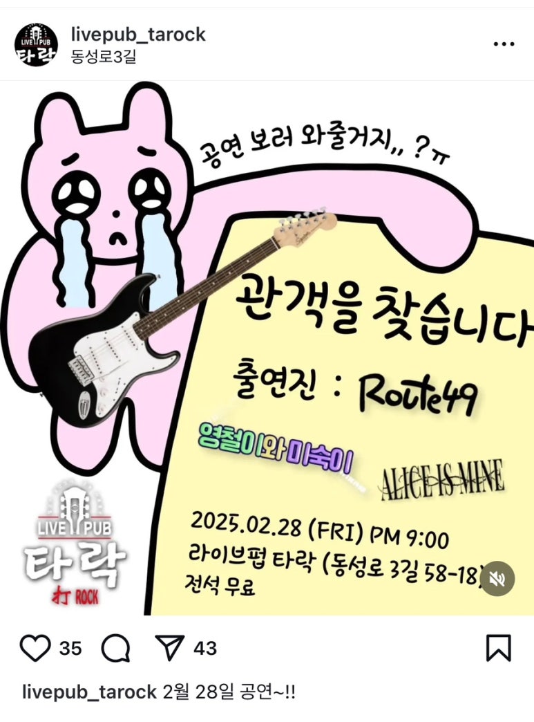 라이브 펍 타락 이미지