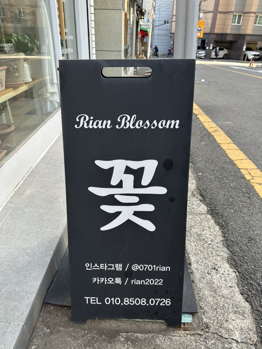 리안블라썸 이미지