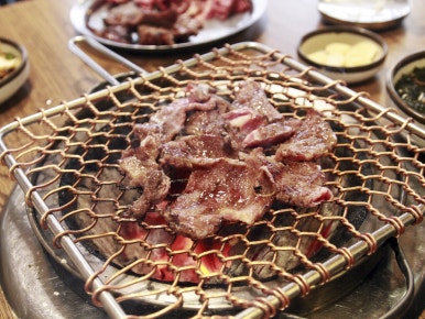 늘푸른목장 이미지