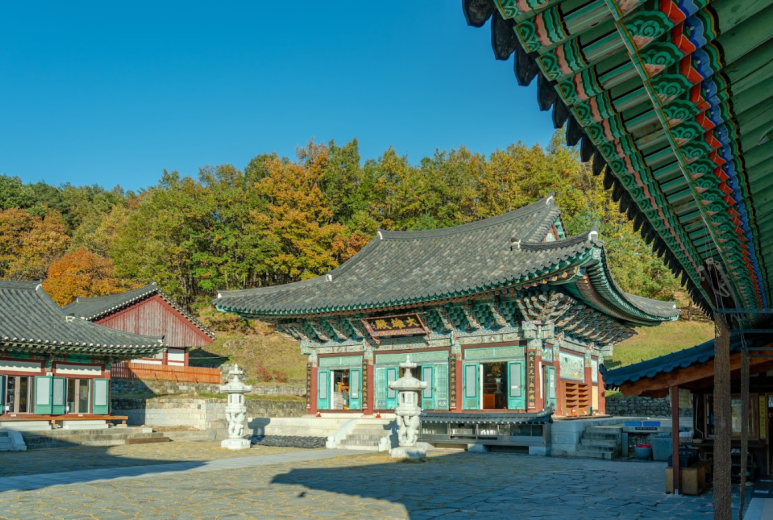 (주)새영남해외여행사 이미지
