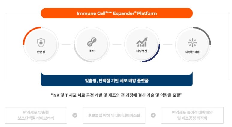 세포상회 이미지