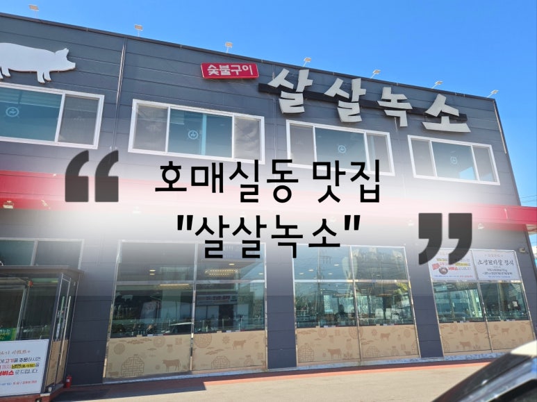 살살녹소 이미지