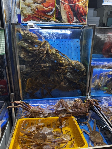 선돌수산 이미지