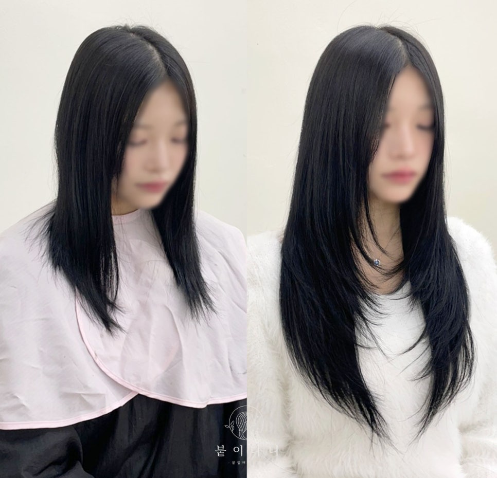 붙이다니 이미지