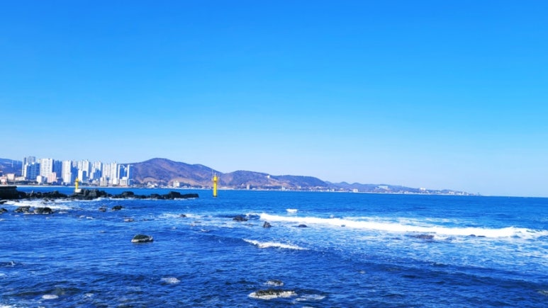 웨스트.본1093 이미지
