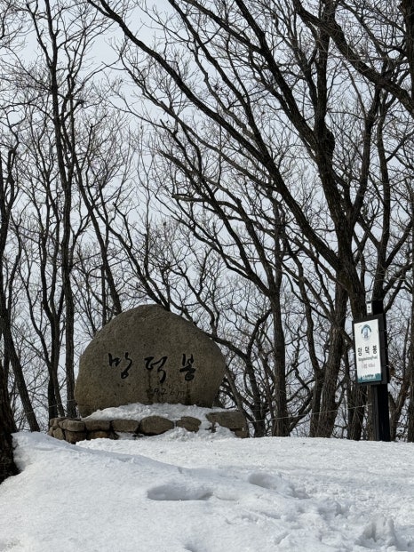 대추나무집 이미지