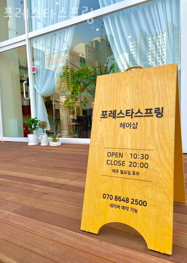 포레스타 이미지