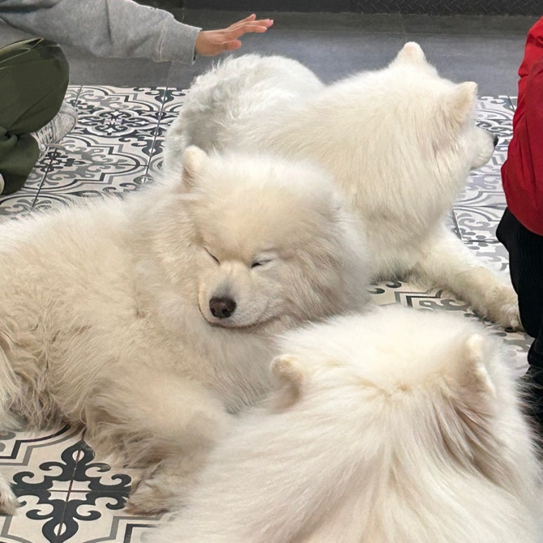 겨울이머무는집 이미지