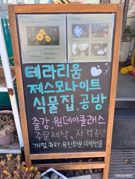 린다플랜트 이미지