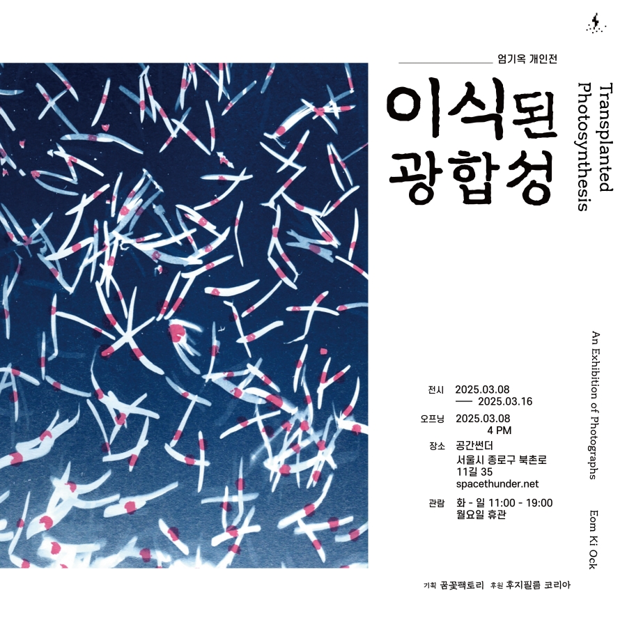 꿈꽃기획 이미지