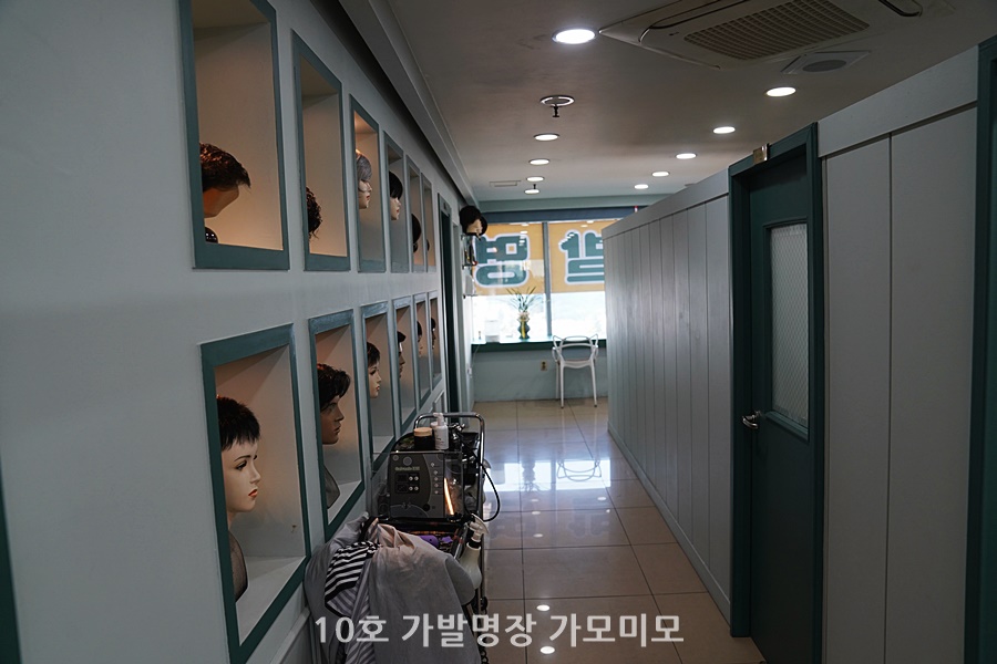 가모미모 이미지