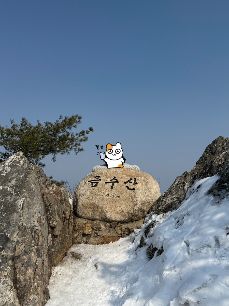 대추나무집 이미지