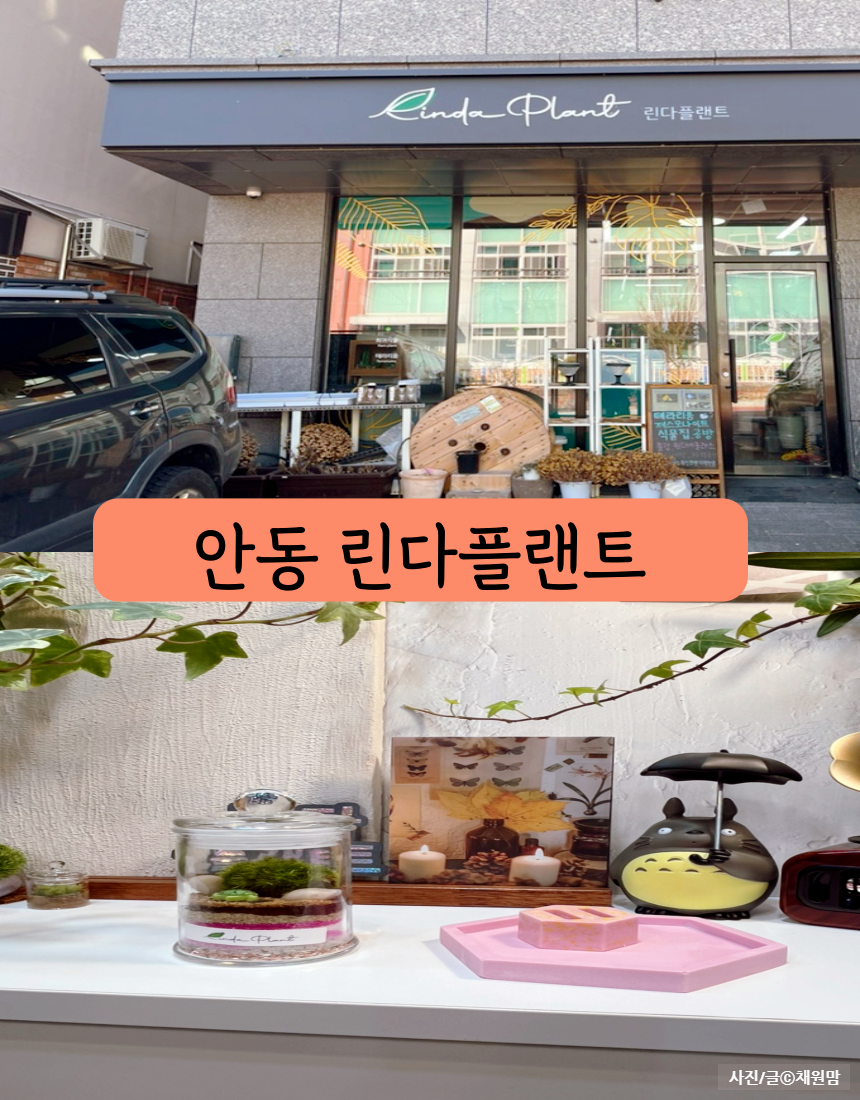 린다플랜트 이미지